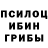 Псилоцибиновые грибы MAGIC MUSHROOMS Dima Nechayev
