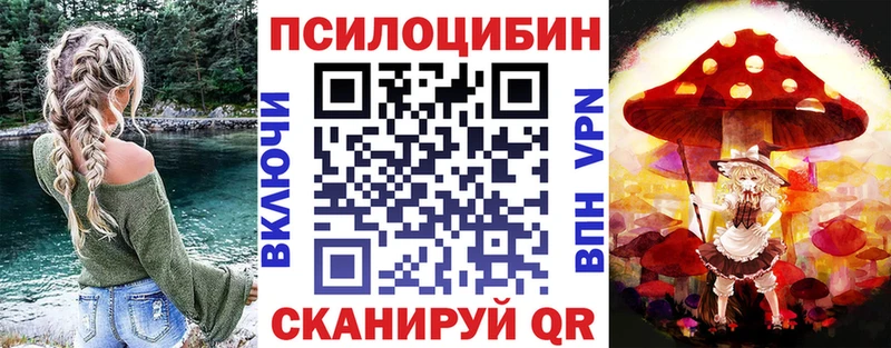 KRAKEN вход  хочу наркоту  Няндома  Псилоцибиновые грибы Cubensis 