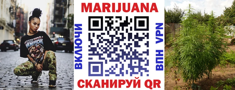 где можно купить Няндома Каннабис Ganja